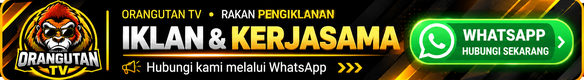 Orangwutan tv